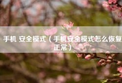 手机 安全模式（手机安全模式怎么恢复正常）