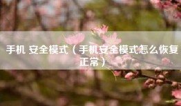 手机 安全模式（手机安全模式怎么恢复正常）