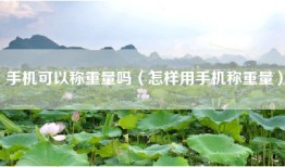 手机可以称重量吗（怎样用手机称重量）