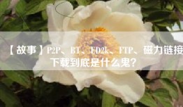 【故事】P2P、BT、ED2k、FTP、磁力链接下载到底是什么鬼？