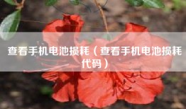 查看手机电池损耗（查看手机电池损耗代码）