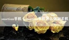 smartisan手机（smartisan手机怎么强制关机）