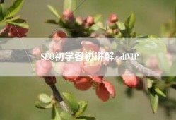SEO初学者初讲解.pdfVIP