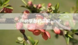 SEO初学者初讲解.pdfVIP