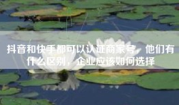 抖音和快手都可以认证商家号，他们有什么区别，企业应该如何选择