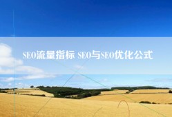 SEO流量指标 SEO与SEO优化公式