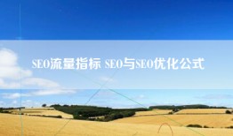 SEO流量指标 SEO与SEO优化公式
