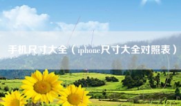 手机尺寸大全（iphone尺寸大全对照表）