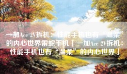 一加Ace 2V拆机：性能手机也有“温柔”的内心世界雷蛇手机「一加Ace 2V拆机：性能手机也有“温柔”的内心世界」