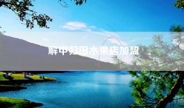 解甲归田水果店加盟