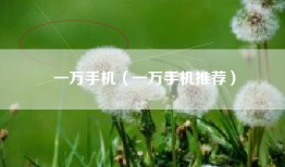 一万手机（一万手机推荐）