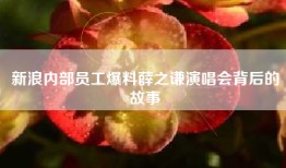 新浪内部员工爆料薛之谦演唱会背后的故事