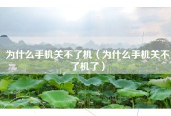 为什么手机关不了机（为什么手机关不了机了）