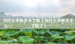 为什么手机关不了机（为什么手机关不了机了）