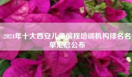 2024年十大西安儿童编程培训机构排名名单汇总公布