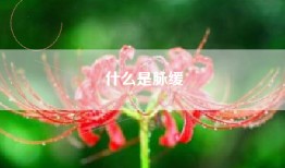什么是脉缓