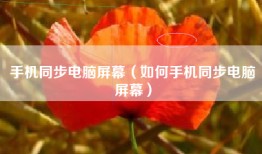 手机同步电脑屏幕（如何手机同步电脑屏幕）