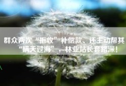 群众两次“拒收”补偿款、还主动帮其“瞒天过海”，林业站长套路深！
