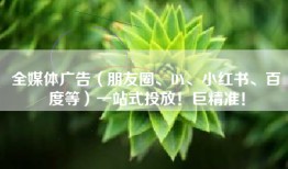 全媒体广告（朋友圈、DY、小红书、百度等）一站式投放！巨精准！