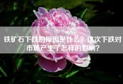 铁矿石下跌的原因是什么？这次下跌对市场产生了怎样的影响？