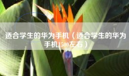 适合学生的华为手机（适合学生的华为手机1500左右）