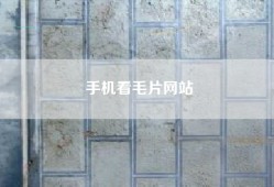 手机看毛片网站