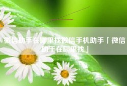 微信助手在哪里找微信手机助手「微信助手在哪里找」