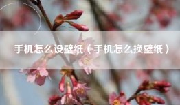 手机怎么设壁纸（手机怎么换壁纸）