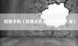 检查手机（检查手机是否有病毒入侵）