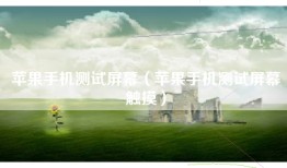 苹果手机测试屏幕（苹果手机测试屏幕触摸）