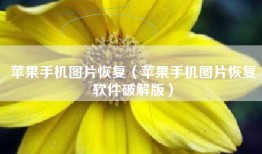 苹果手机图片恢复（苹果手机图片恢复软件破解版）