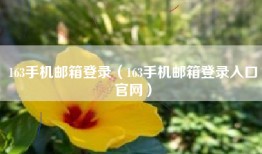 163手机邮箱登录（163手机邮箱登录入口官网）