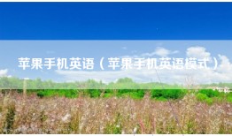 苹果手机英语（苹果手机英语模式）