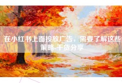在小红书上面投放广告，需要了解这些策略-干货分享