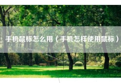 手机鼠标怎么用（手机怎样使用鼠标）