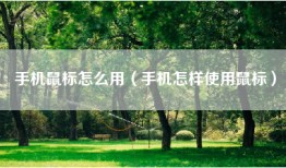 手机鼠标怎么用（手机怎样使用鼠标）
