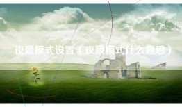 夜景模式设置（夜景模式什么意思）
