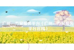 广州seo方案服务平台（广州seo方案服务平台官网）