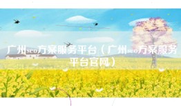广州seo方案服务平台（广州seo方案服务平台官网）