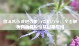 普洱熟茶减肥效果与饮用方法：全面解析其瘦身原理及日常应用
