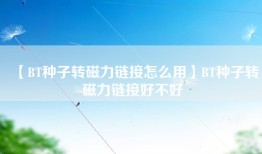 【BT种子转磁力链接怎么用】BT种子转磁力链接好不好
