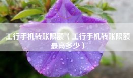 工行手机转账限额（工行手机转账限额最高多少）