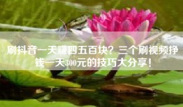 刷抖音一天赚四五百块？三个刷视频挣钱一天300元的技巧大分享！
