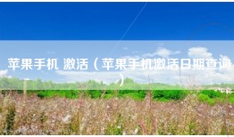 苹果手机 激活（苹果手机激活日期查询）