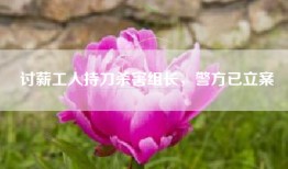 讨薪工人持刀杀害组长，警方已立案