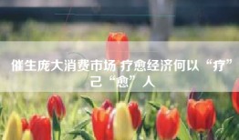 催生庞大消费市场 疗愈经济何以“疗”己“愈”人
