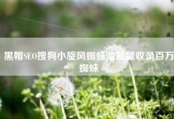 黑帽SEO搜狗小旋风蜘蛛池批量收录百万蜘蛛