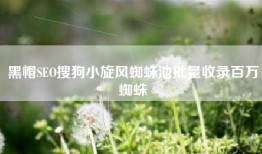 黑帽SEO搜狗小旋风蜘蛛池批量收录百万蜘蛛