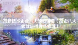 高新技术企业八大领域明细（高企八大领域是指哪些领域）