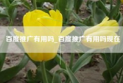百度推广有用吗_百度推广有用吗现在